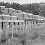 SEDA Malaysia Visit Site – Solar Farm Fortune 11 and Labu Palm Oil Mill. 